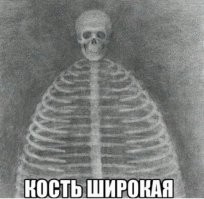 Сколько костей в человеке?