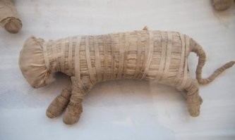 Они их любят "заварачивать"