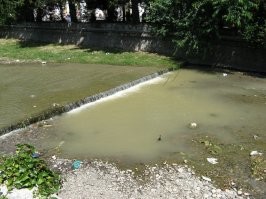 Ялта. 2009 год. Это течёт через город,  прямо на набережную.