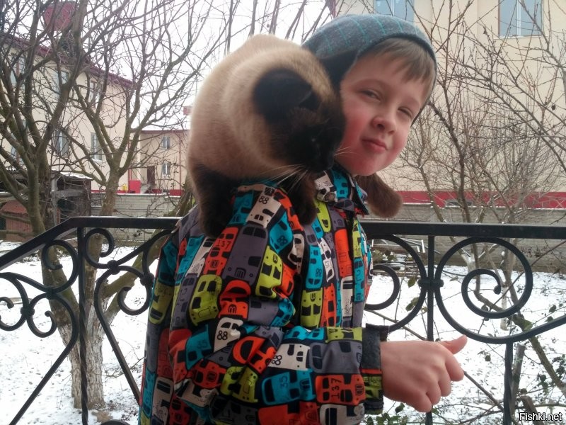 - Обгоняй фуру