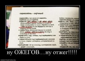 Образ русского языка в демотиваторах