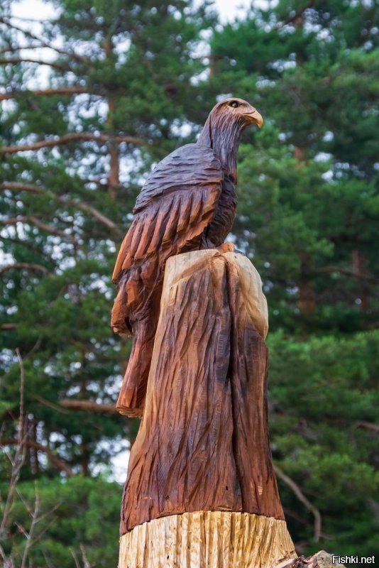 Солянка от 19.07.2020