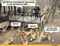 Смешные картинки