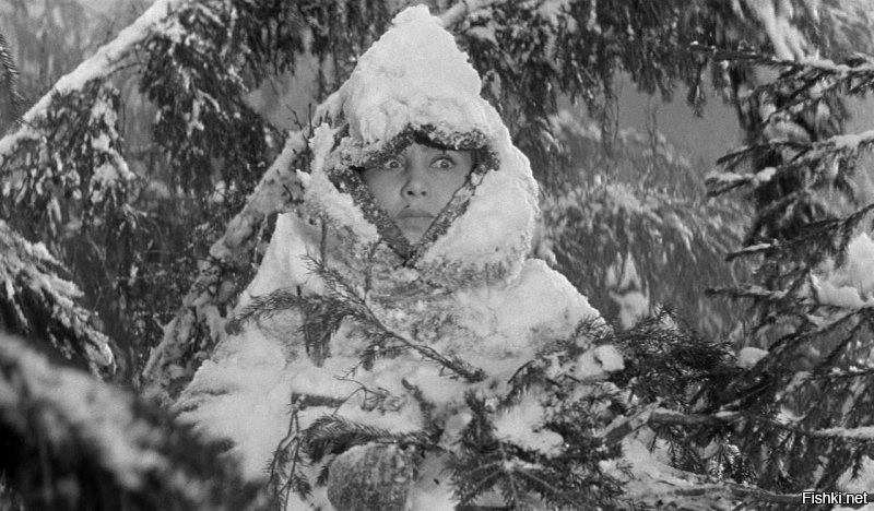 Ждем не дождемся