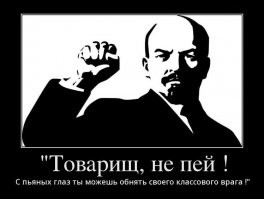 Москвичи напились с незнакомцами и очнулись в Бутово без вещей и с кредитом