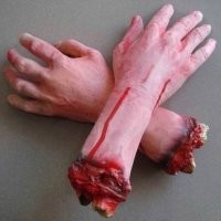 Не каждый котик даст себя закутать.
