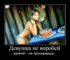 Прикольные и смешные картинки