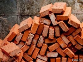 Женщина притворилась мёртвой, чтобы спастись от преследовавшего её бизона