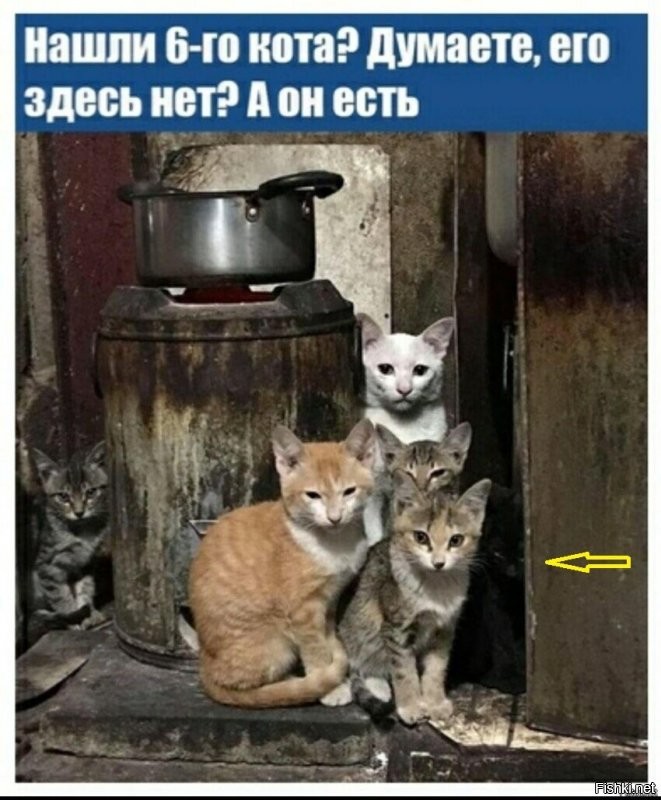 Солянка от 20.07.2020