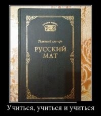 Образ русского языка в демотиваторах