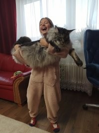 Большие коты - очень круты!