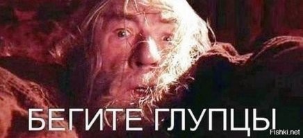 Увидели ЛЮБУЮ змею -