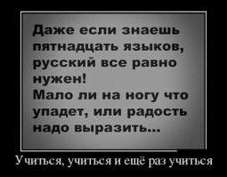 Образ русского языка в демотиваторах