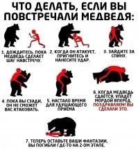 Встреча девушек-туристов с медведем в мексиканском лесу