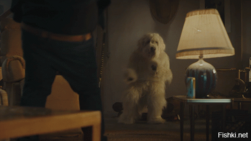 Солянка от 20.07.2020