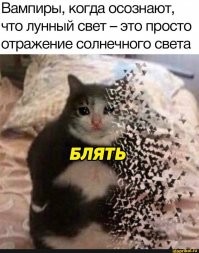 Боишься вампиров? Есть выход!