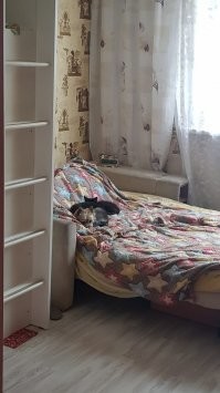 Мои засранцы.