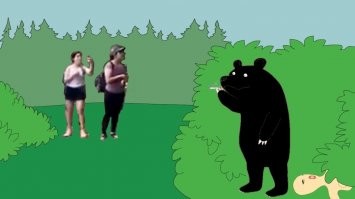 Встреча девушек-туристов с медведем в мексиканском лесу