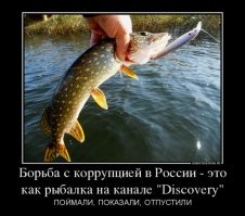 Мишустин уволил замминистра науки, подозреваемую в хищении 50 миллионов рублей