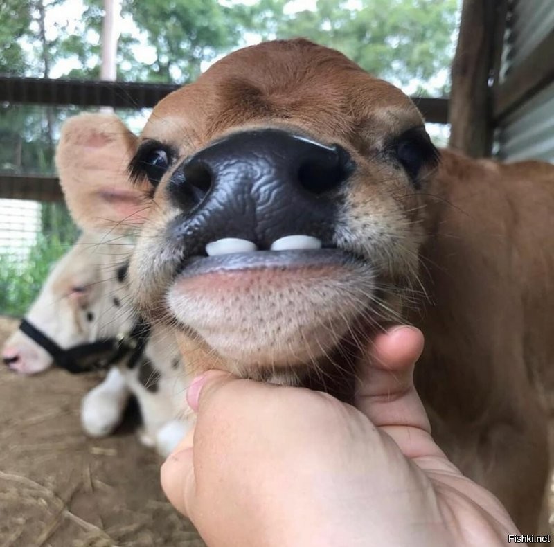 вышел в ночь на балкон покурить (ну да я курю)