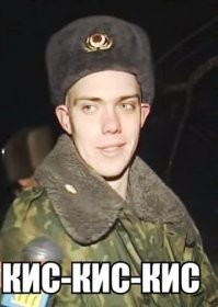 30 кошек демонстрируют свои навыки сна на деревьях