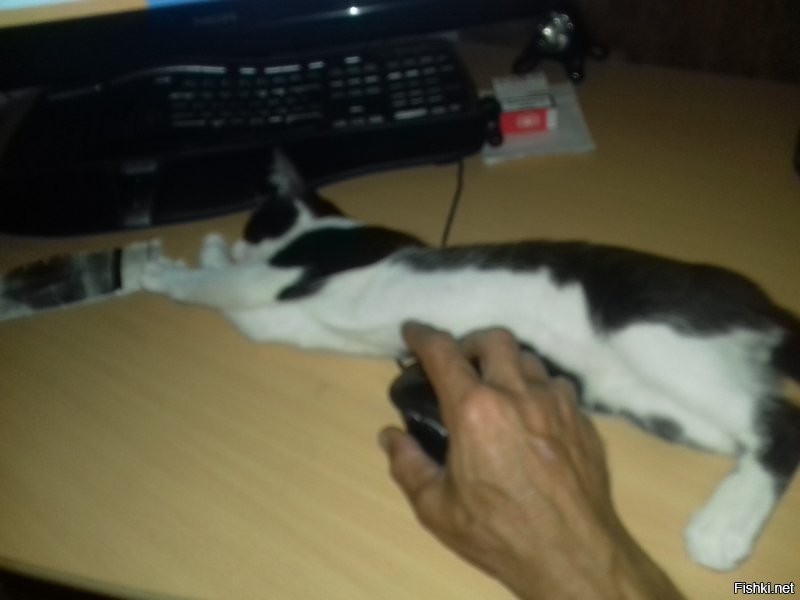 Солянка от 21.07.2020