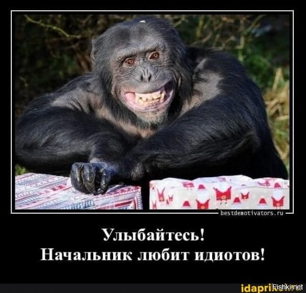 Солянка от 21.07.2020