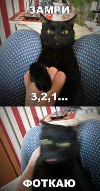 Прикольные и смешные картинки