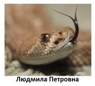 Вот Людмила Петровна один в один :)