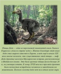 Факты в картинках