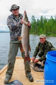 Самый большой п*здабол в России поймал щуку на 21 кг и его никому не переплюнуть
