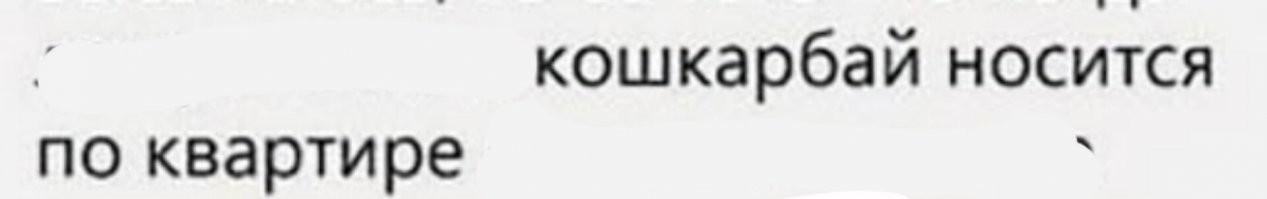 Прикольные и смешные картинки