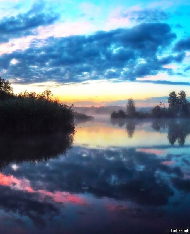 я художник, я так вижу