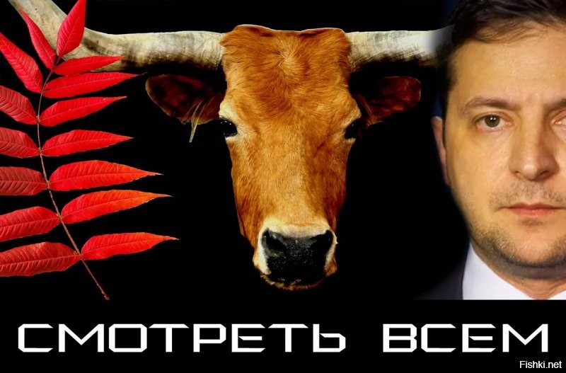 «С днем антисистемы, земляне!»