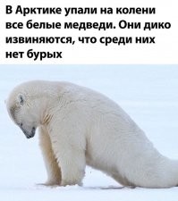 Прикольные и смешные картинки