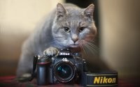 Прикольные и смешные картинки