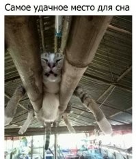 Внезапное отключение