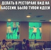 В бельгийском зоопарке открыли номера с видом на диких животных