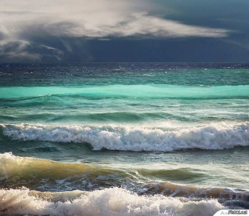 Солянка от 22.07.2020