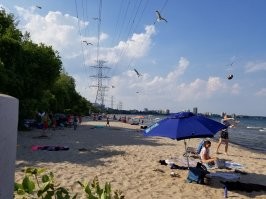 Да наверное и в Испании подальше от города отьехать и будут пустые пляжи. У нас (в Канаде) то-же самое. В центре города как на первой фотке, а в 5 км от этого пляжа как на второй.