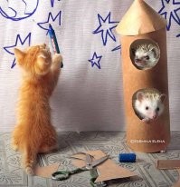 Очень здорово нарисовано :)

Ещё немного позитива про ёжиков: есть такой фотограф из Санкт-Петербурга - Елена Еремина, у которой живут несколько ёжиков и кот. Она их постоянно фотографирует, придумывает сценки и дорабатывает в фоторедакторе. Получаются вот такие забавные фотографии.