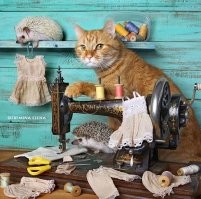 Очень здорово нарисовано :)

Ещё немного позитива про ёжиков: есть такой фотограф из Санкт-Петербурга - Елена Еремина, у которой живут несколько ёжиков и кот. Она их постоянно фотографирует, придумывает сценки и дорабатывает в фоторедакторе. Получаются вот такие забавные фотографии.