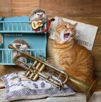 Очень здорово нарисовано :)

Ещё немного позитива про ёжиков: есть такой фотограф из Санкт-Петербурга - Елена Еремина, у которой живут несколько ёжиков и кот. Она их постоянно фотографирует, придумывает сценки и дорабатывает в фоторедакторе. Получаются вот такие забавные фотографии.