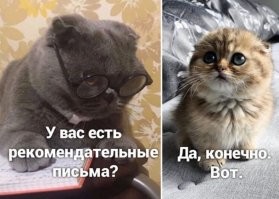 Прикольные и смешные картинки