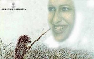 Сцены из советских картин с ежиками в главных ролях