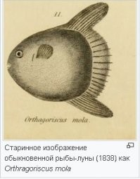 Это были, по-ходу, английские ученые