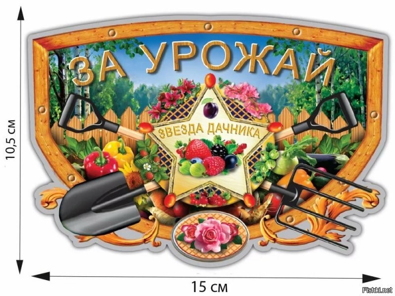 Солянка от 23.07.2020