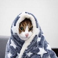 Приколы про современных девушек