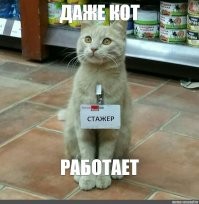 это всё потому, что не нашли ему занятие по душе