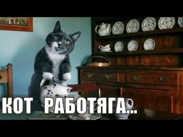 это всё потому, что не нашли ему занятие по душе